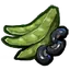 Beans