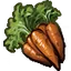 Carrot