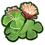 Clover