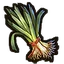 Leek