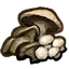 Mushrooms