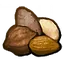 Nuts