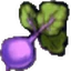 Beetroots