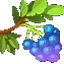 Berries