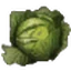 Vegetable garden