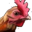 Chicken coop