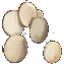 Eggs