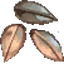 Malt