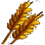 Rye