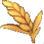 Wheat