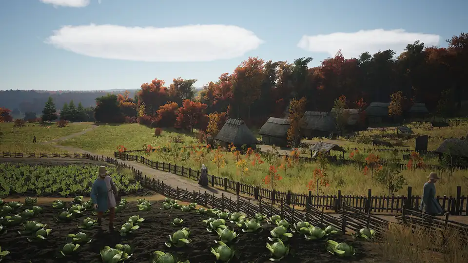 A villager tending cabbages in a backyard vegetable garden in autumn.