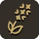 Canola Seeds