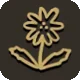 Dandelions