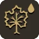 Maple Syrup