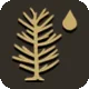 Pine Resin