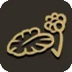 Spadderdock