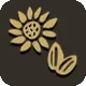 Sunflower Seeds