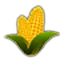 Crops
